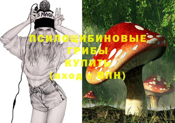 спиды Горно-Алтайск