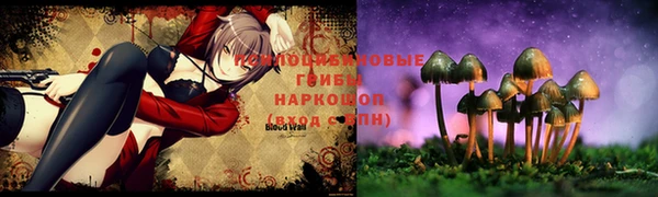 скорость Горнозаводск