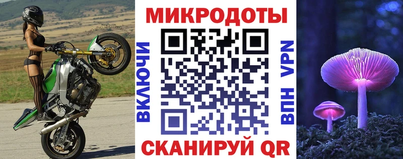 наркота Полярные Зори Галлюциногенные грибы Cubensis